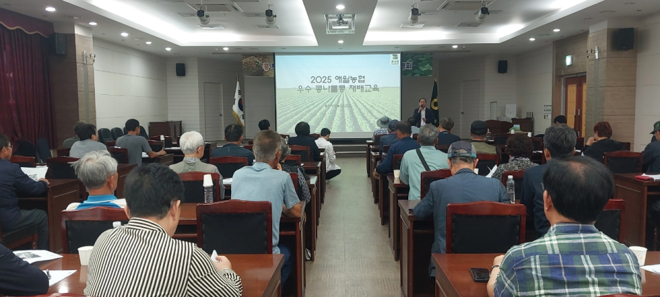 애월농협 2025년 콩나물 콩 재배 및 관리기술 교육 실시