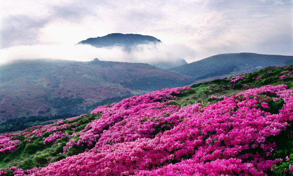 18.한라산-1.jpg