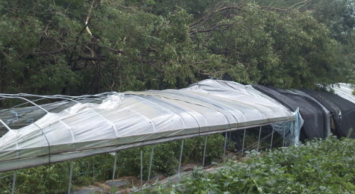 daum_net_20131014_181639.jpg
