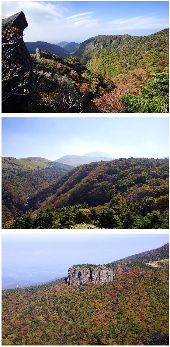 한라산단풍.jpg