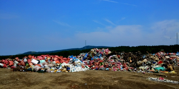 20150606_105530.jpg