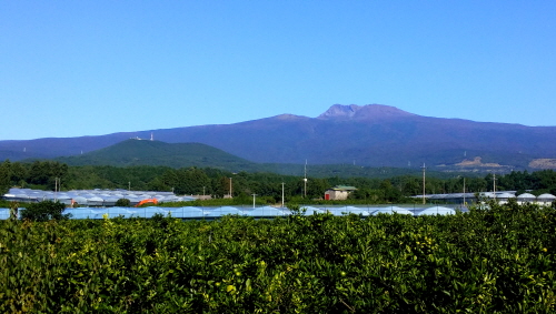 20151006_095254.jpg