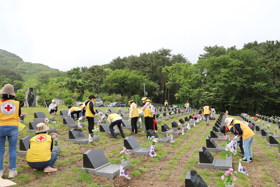 국립제주호국원 제68회 현충일 맞이 묘역 앞 태극기 꽂기 봉사활동 실시