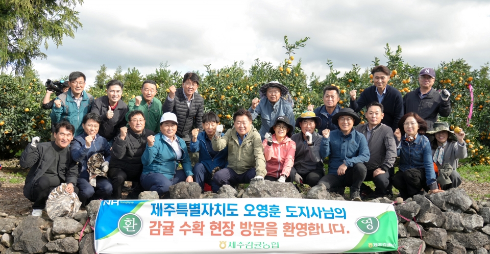 감귤현장